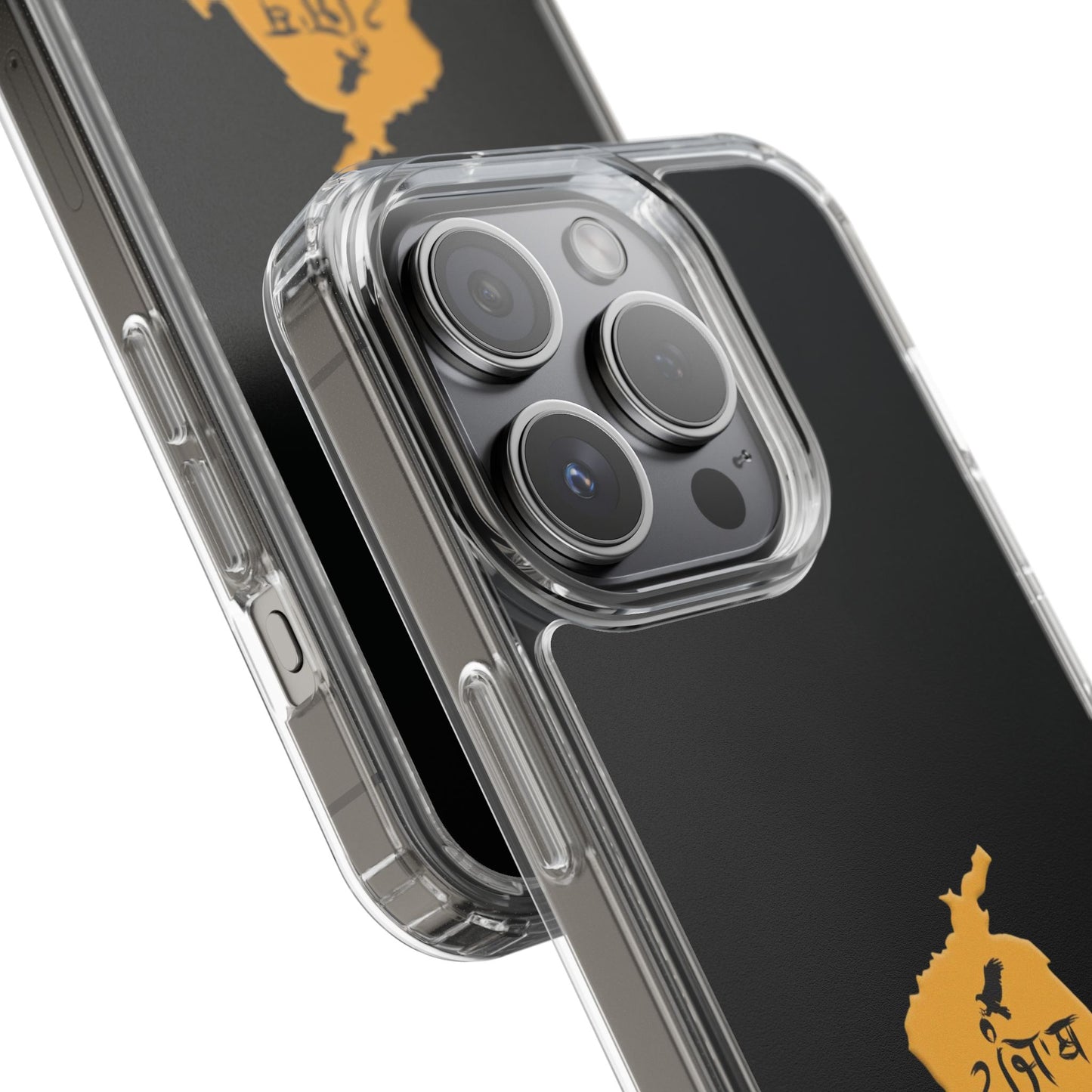 Panjab Map phone case