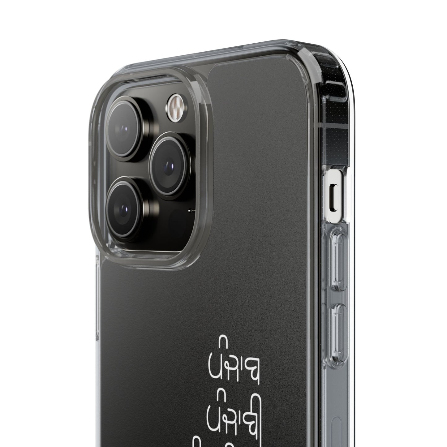 Punjab punjabi punjabiyat phone case--Custom phone case