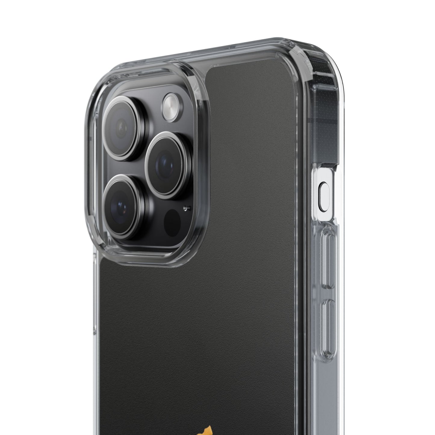 Panjab Map phone case