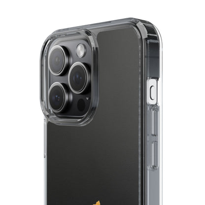 Panjab Map phone case