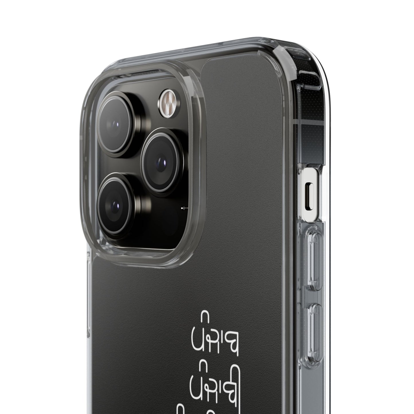 Punjab punjabi punjabiyat phone case--Custom phone case