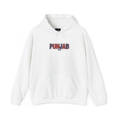 Embroided Punjab Floral Hoodie — Colorful Punjabi Text Pullover
