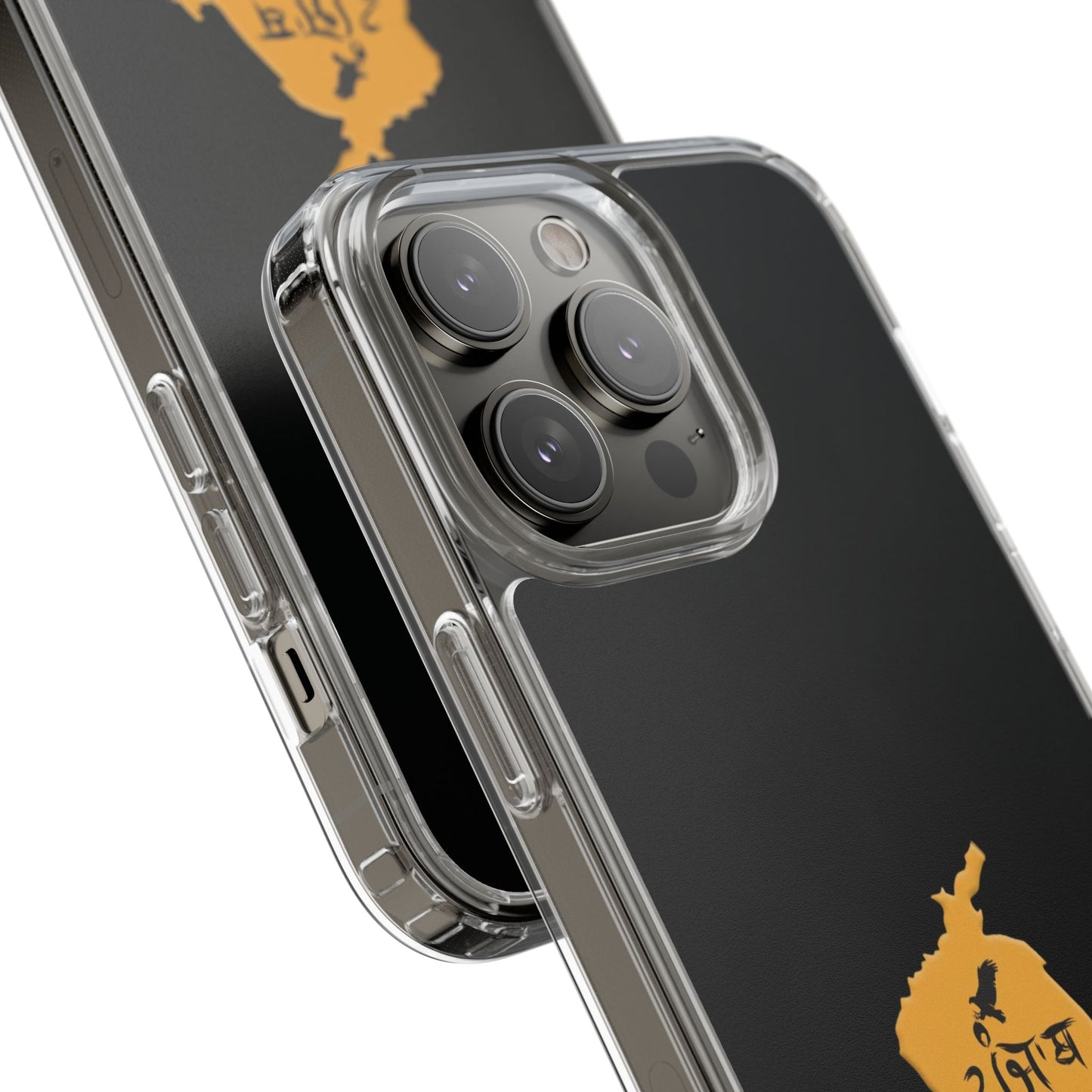 Panjab Map phone case