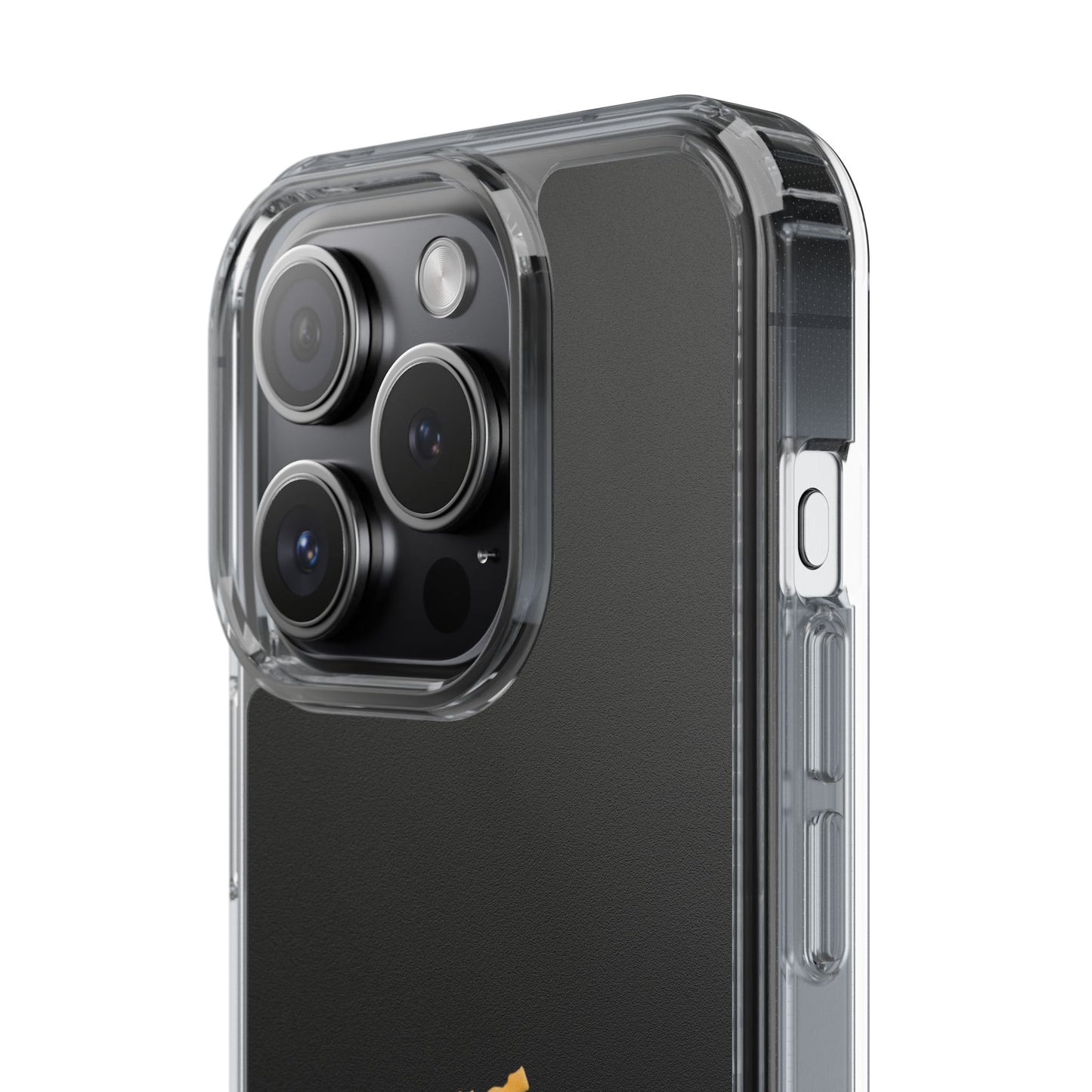 Panjab Map phone case