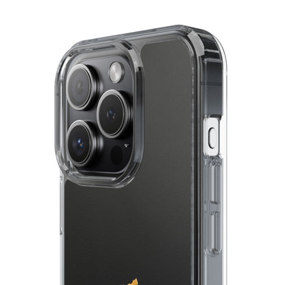 Panjab Map phone case